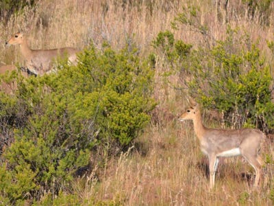 Breakaway Trails Rouxville Free State