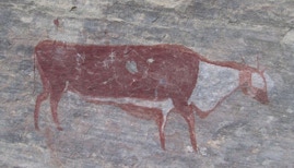 Breakaway Trails, Rouxville Free State