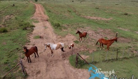 Breakaway Trails, Rouxville Free State