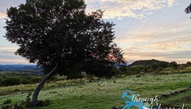 Breakaway Trails, Rouxville Free State